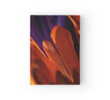 Macro Photo of Colorful Flowers