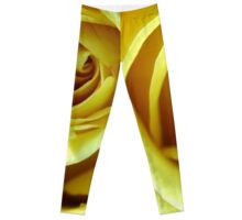 Macro Photo Yellow Rose