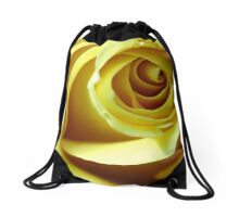 Macro Photo Yellow Rose