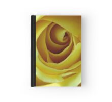 Macro Photo Yellow Rose