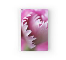 Macro Photo Pink Flower