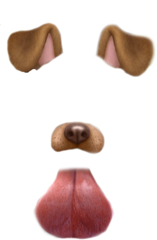 "Snapchat dog filter" Stickers by Matt Redbubble | Redbubble