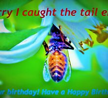 Bee-lated birthday greeting by ♥⊱ B. Randi Bailey