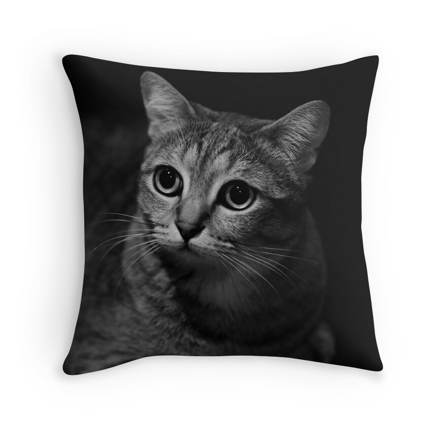 cat picture pillows