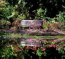 God leads me beside still waters; God restores my soul. by Paula Tohline Calhoun