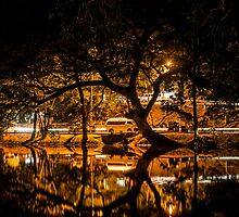 The Night Reflection by Charman69
