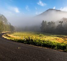 The Road less Travelled - near Gloucester NSW Australia by Beth Wode