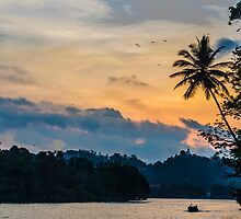 The Evening Tones by Charman69