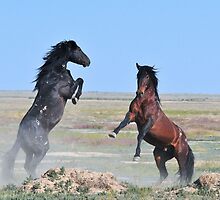 Challenge by Kelly Jay