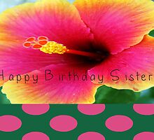 Nuns Birthday Card by gailg1957