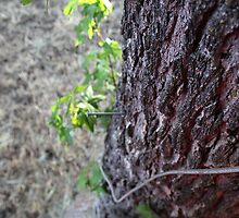 Skin of the earth by Metaperspective