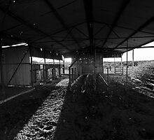old Shearing shed by loza1976