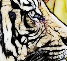 Tiger numero quatro by eltdesigns