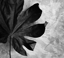 Stand Alone by Randi Grace Nilsberg