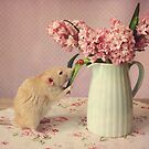 Poppy :) by Ellen van Deelen