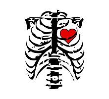 Human Skeleton by refreshdesign