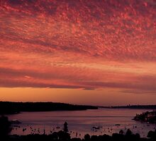 Sydney Sunset by kotchenography