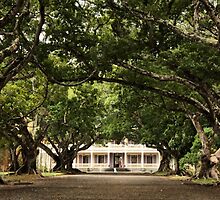 The Château de Labourdonnais, Mauritius by Irina Chuckowree
