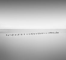 ... by alexey sorochan