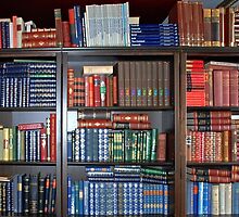 Bookcase full of Dutch reference works by Arie Koene