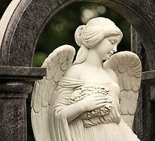 angel in the guise of a beautiful girl by mrivserg