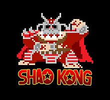Shao Kong by psychoandy