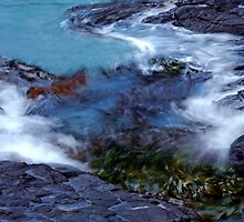 The Kelp - New Zealand by Imi Koetz