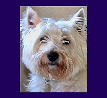 Archie by lynn carter