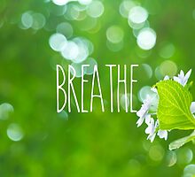 Breathe Refreshing Hydrangea with Green Leaves and Bokeh by Beverly Claire Kaiya