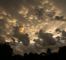Bizarre Mammatus Clouds In Toronto At Sunset by Georgia Mizuleva