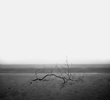 ... by alexey sorochan