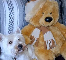 Keeping Warm With Teddy by lynn carter