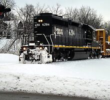 Illinois Central Locomotive 6204 by Timothy Ruf