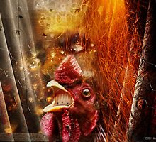 The Great Bogus And The Doomsday Dawn by Alex Preiss