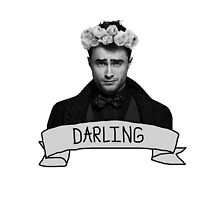 Dan, Darling by Kelly Maureen