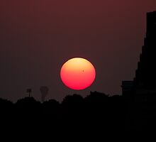 Little black spot on the sun today by Owed to Nature