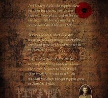 In Flanders Fields 2 by AndrewFare
