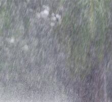 Wet Tropics Downpour by Kerryn Madsen-Pietsch