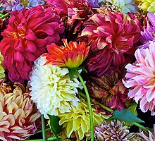 Dahlia Medley by John Butler