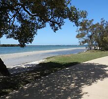 Broadwater Park View by FangFeatures