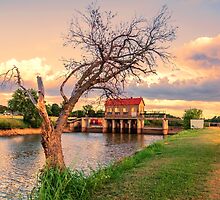 The Tree on the Dam by JohnDSmith