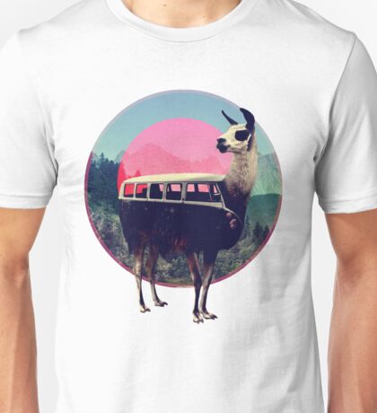 llama merch