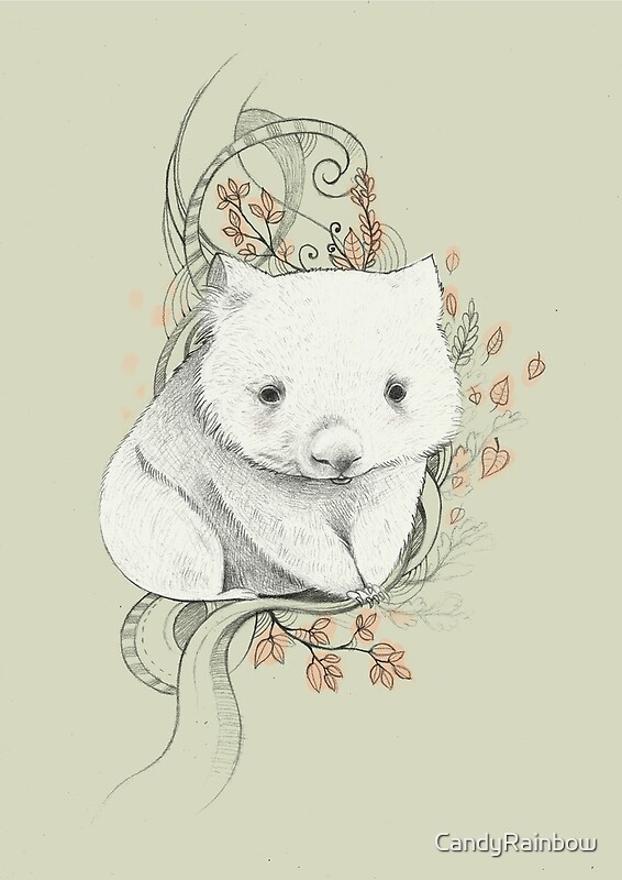 Wombat Drawing: Metal Prints | Redbubble