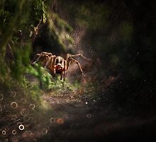 The Hunter by JBlaminsky