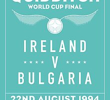 1994 Quidditch World Cup Final by roomiccube