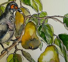 Partridge in a pear tree. Elizabeth Moore Golding 2011 by Elizabeth Moore Golding