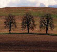 Trio by JBlaminsky