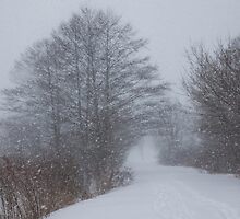 Snowstorm Magic by Georgia Mizuleva