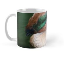 Sleeping Duck