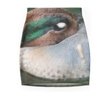 Sleeping Duck
